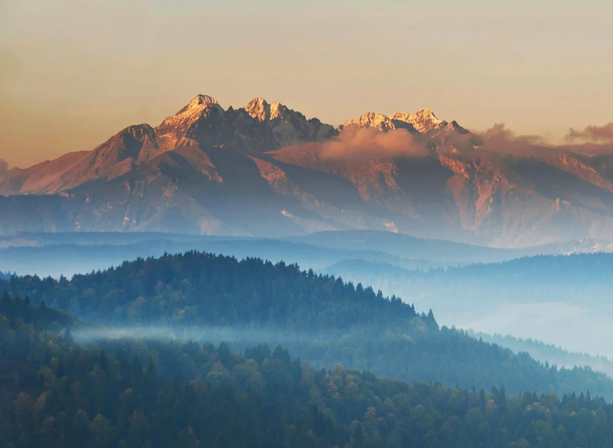 10 szybkich obiadów w 30 minut — przepisy, lista zakupów i zamienniki dla wegetarian i zapracowanych