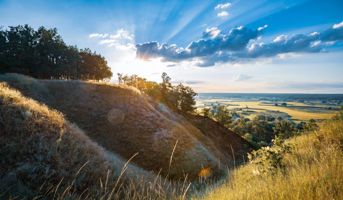 Zobacz te informacje jak budować nowocześniej